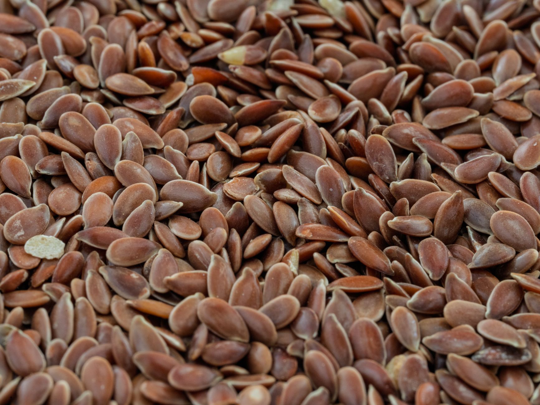 Fiber Intake Benefits: The Best Proven Ways to Boost Health