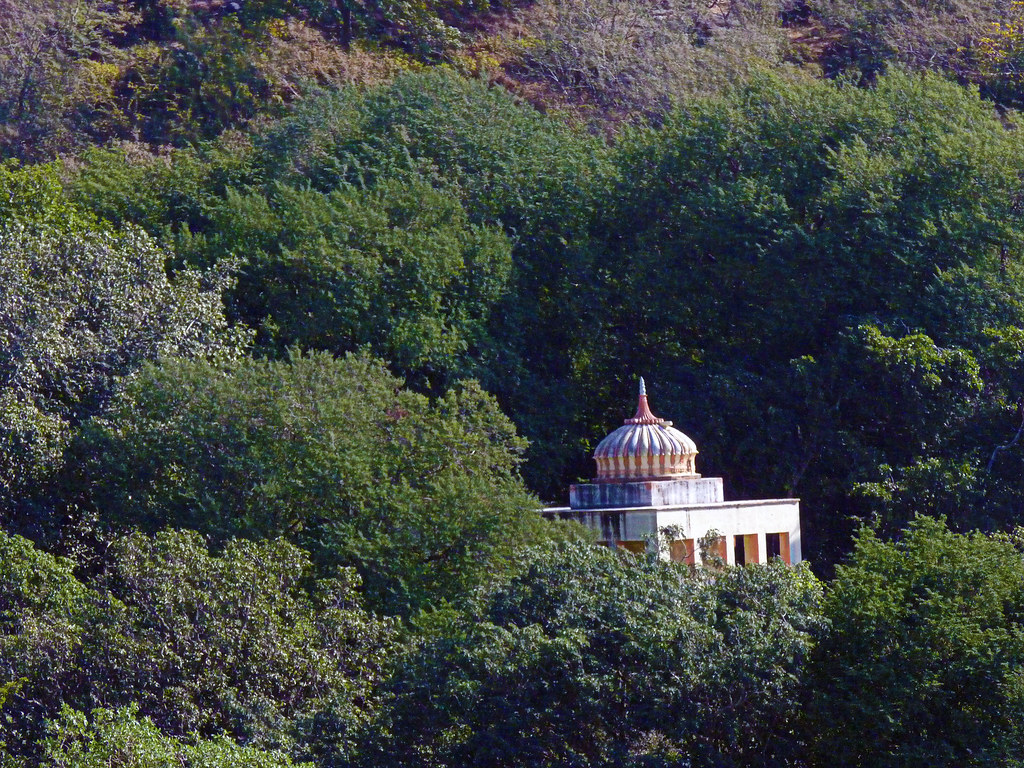 Tree Father India: Proven Path to a Greener Future